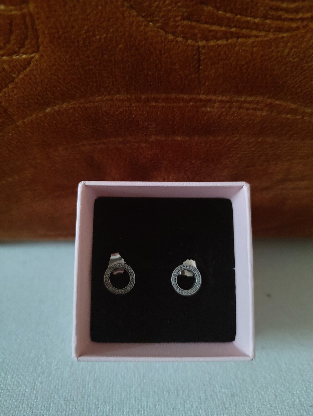 New Pandora Earrings/New Pandora Gift Bag/Jewelry Box